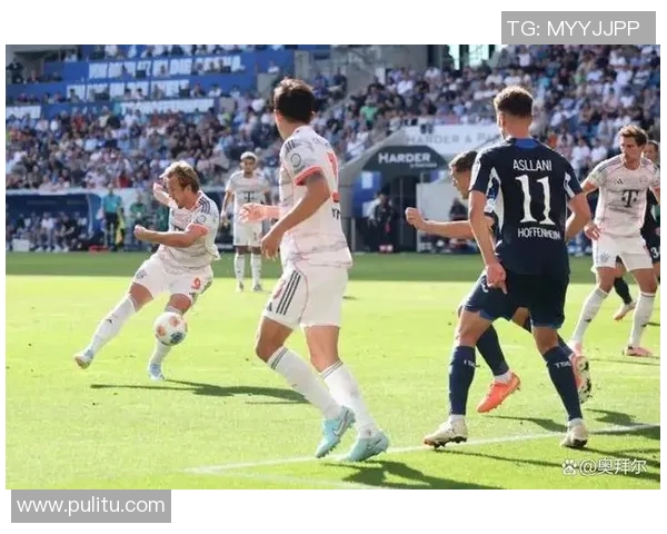 拜仁慕尼黑：欧冠失利德甲夺冠梦蒙云