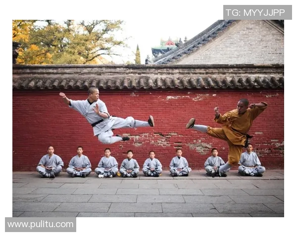 探寻武当山武术的深厚底蕴与独特魅力之旅