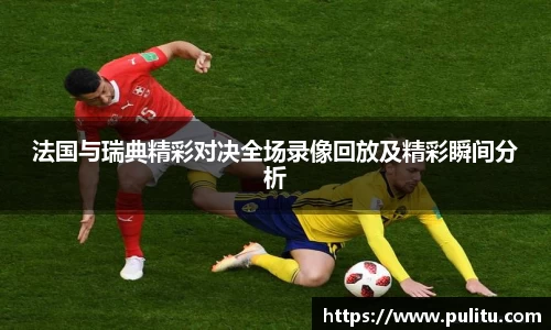 法国与瑞典精彩对决全场录像回放及精彩瞬间分析